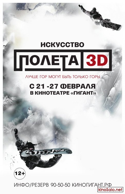 Искусство полета 3D (2011)